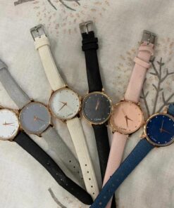 Reloj Pantano